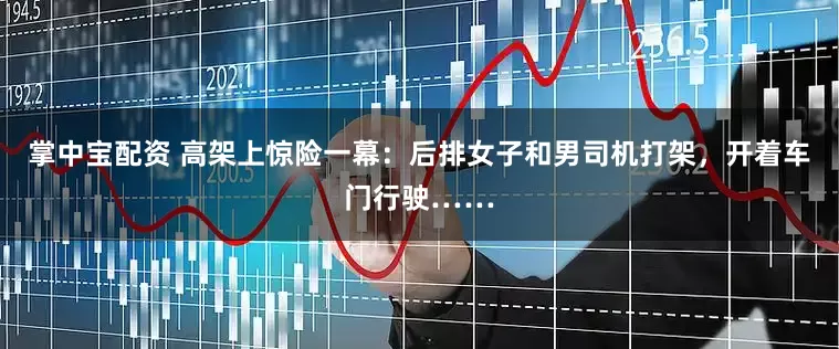 掌中宝配资 高架上惊险一幕：后排女子和男司机打架，开着车门行驶……