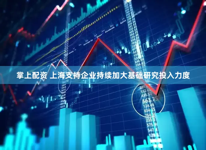 掌上配资 上海支持企业持续加大基础研究投入力度