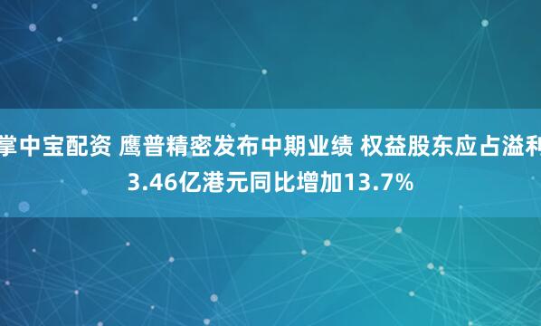 掌中宝配资 鹰普精密发布中期业绩 权益股东应占溢利3.46亿港元同比增加13.7%