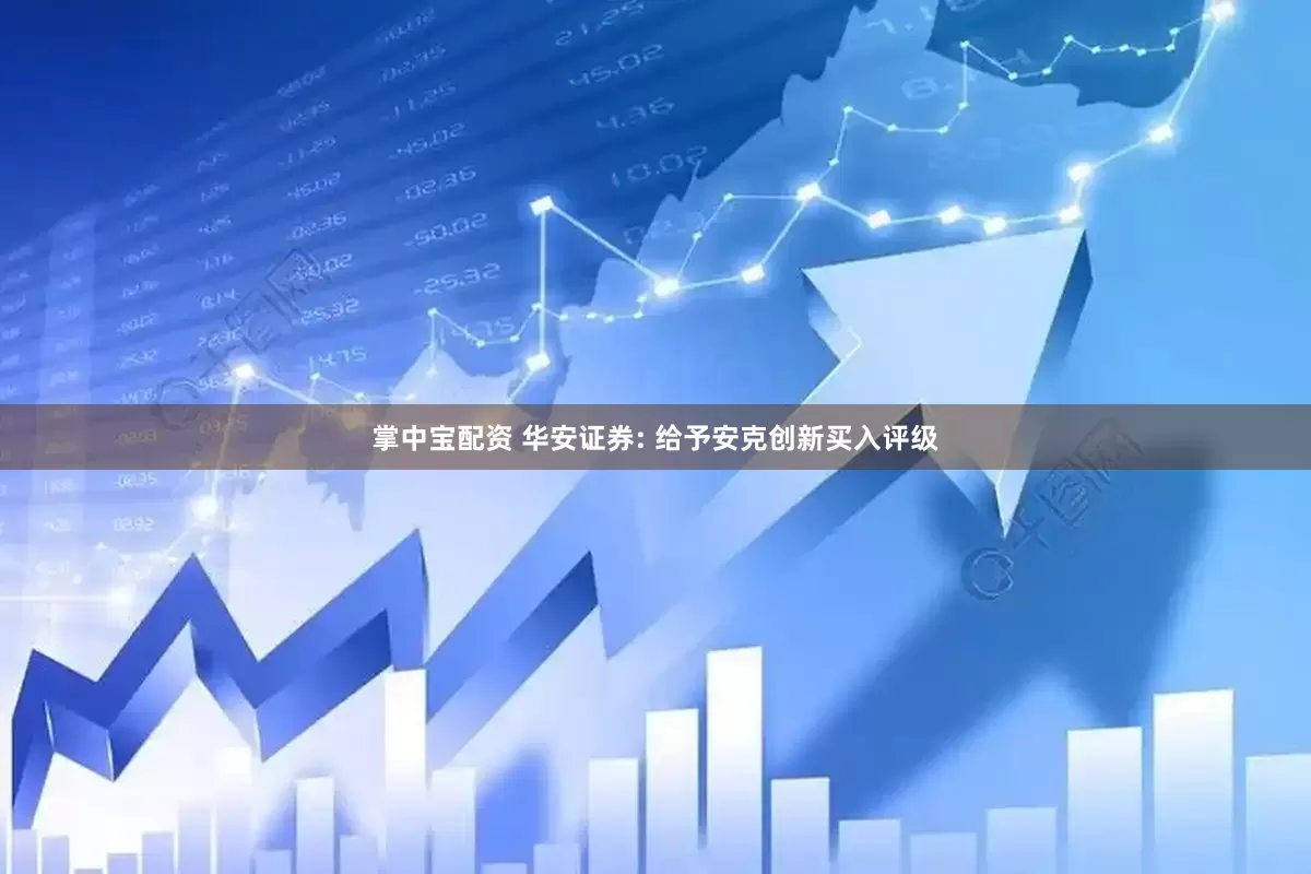 掌中宝配资 华安证券: 给予安克创新买入评级