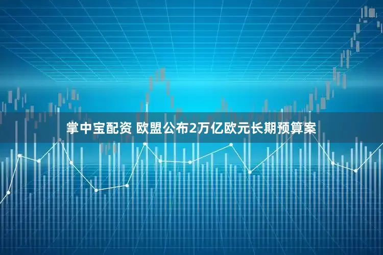 掌中宝配资 欧盟公布2万亿欧元长期预算案