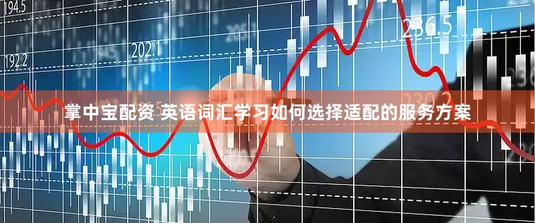 掌中宝配资 英语词汇学习如何选择适配的服务方案